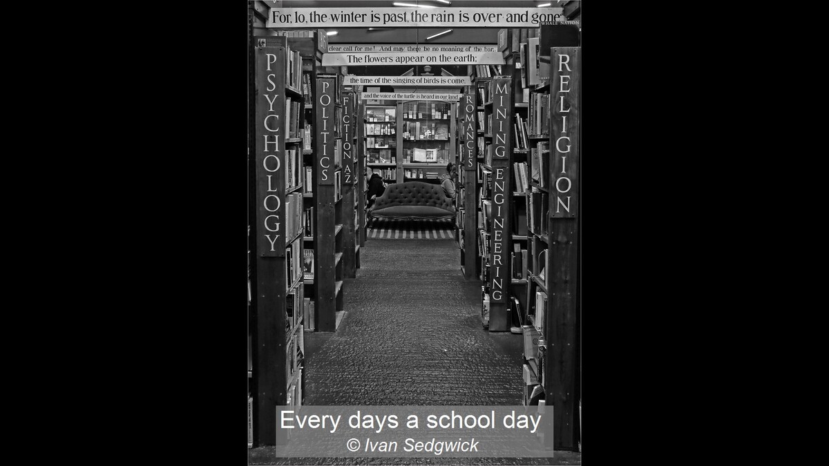 Every days a school day